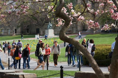 students walk across the Arts Quad in spring