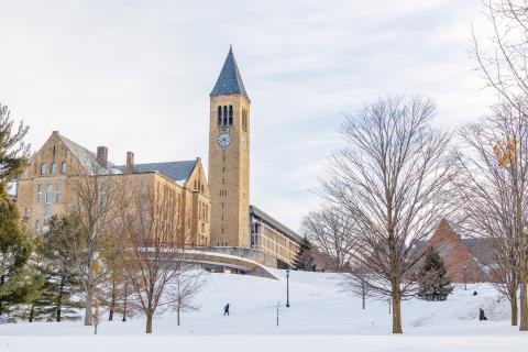 view of the snowy Cornell campus
