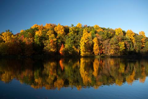 autumn foliage at Beebe lake
